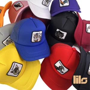 کلاه ابری پشت توری گورین