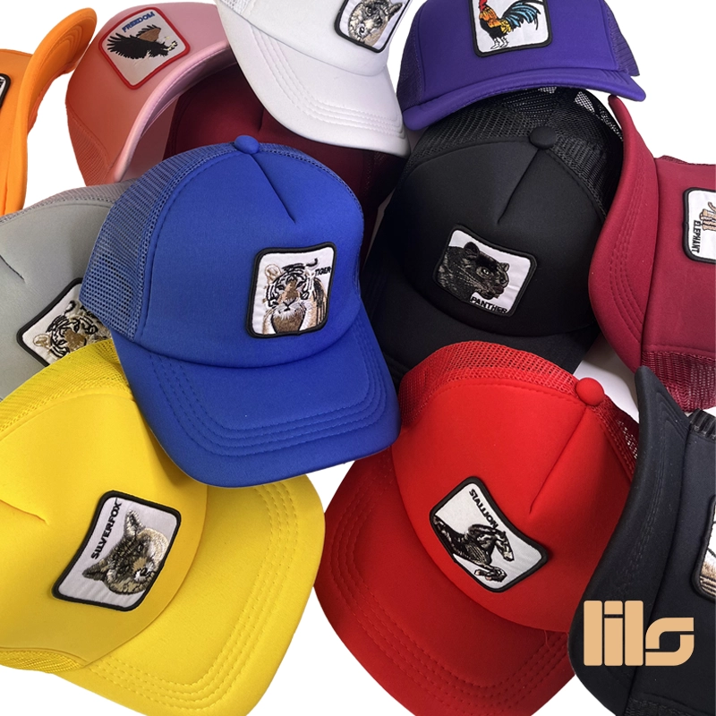 کلاه ابری پشت توری گورین