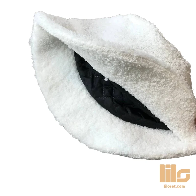 باکت داخل تدی